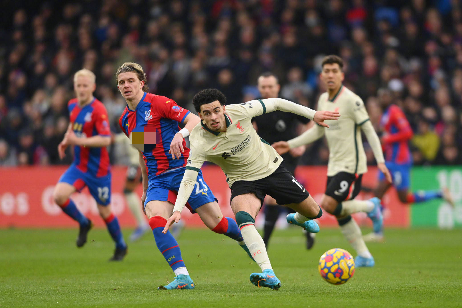 展望未来 展望未来